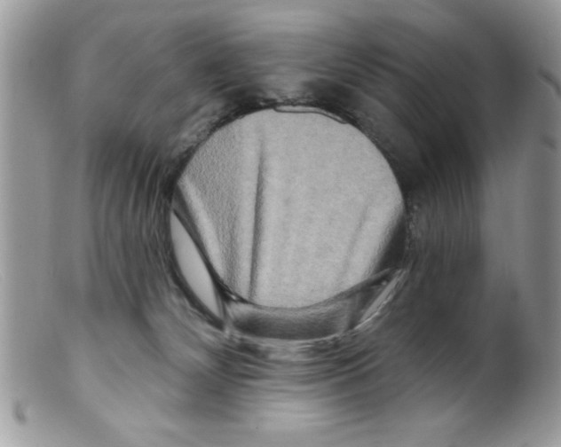 X0000098130132200805151125