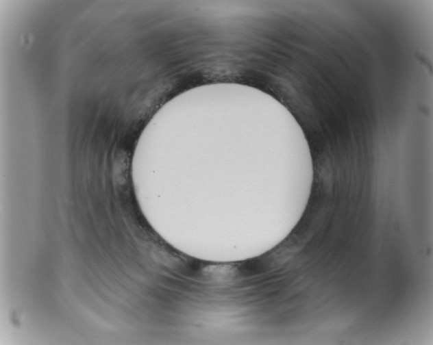 X0000098130133200805151125