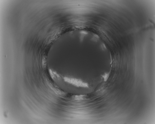 X0000098130134200805151125