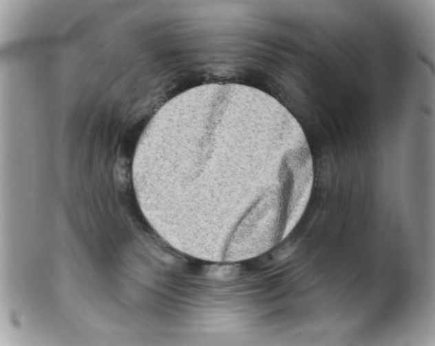 X0000098130135200805151125