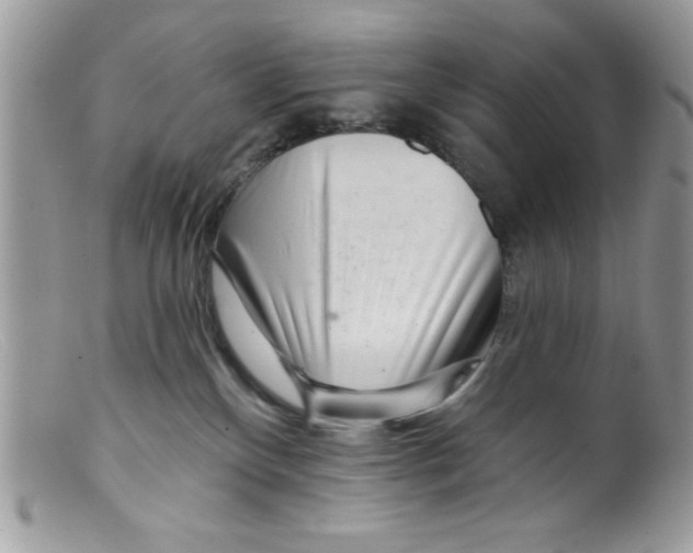 X0000098130136200805151125