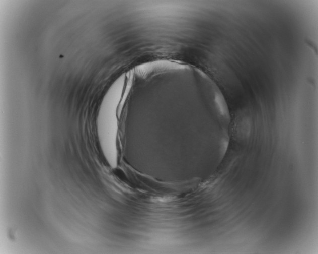 X0000098130137200805151125
