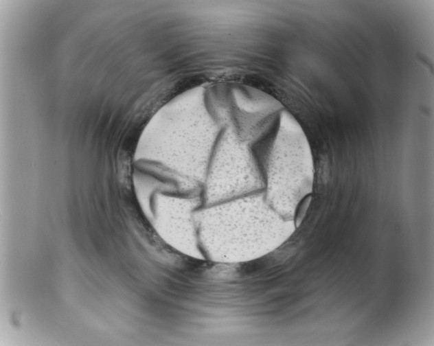 X0000098130138200805151125