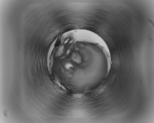 X0000098130139200805151125