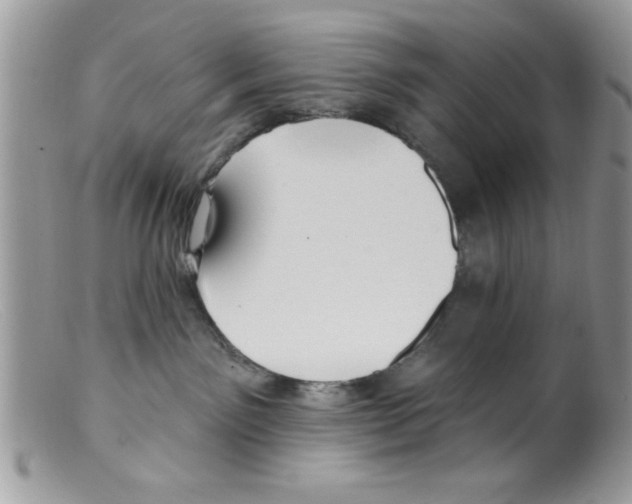 X0000098130141200805151124