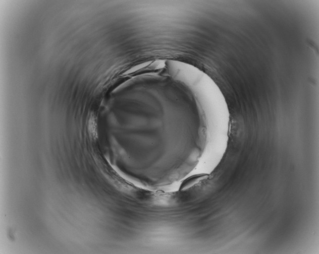 X0000098130143200805151124