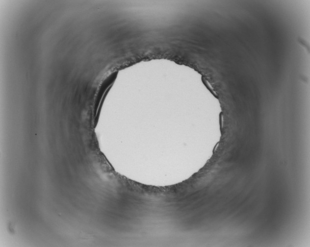 X0000098130144200805151124