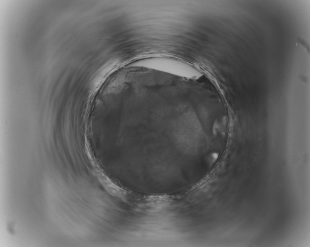 X0000098130145200805151124