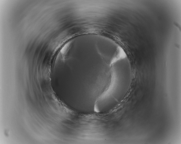 X0000098130146200805151124