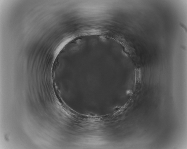 X0000098130147200805151124