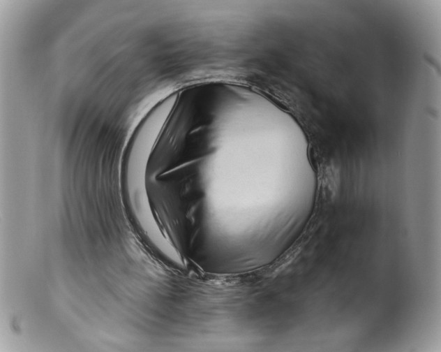 X0000098130148200805151124
