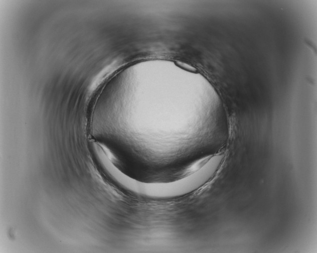 X0000098130150200805151124