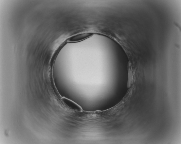 X0000098130152200805151124