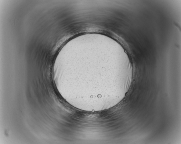 X0000098130155200805151124