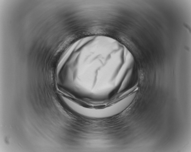 X0000098130158200805151124