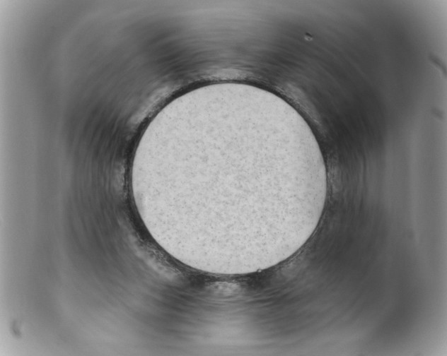 X0000098130159200805151124