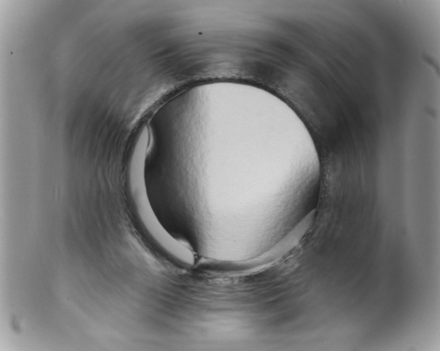 X0000098130160200805151124