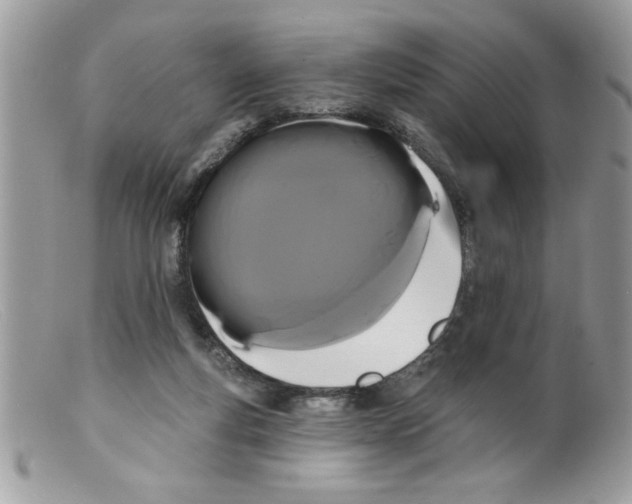 X0000098130163200805151124