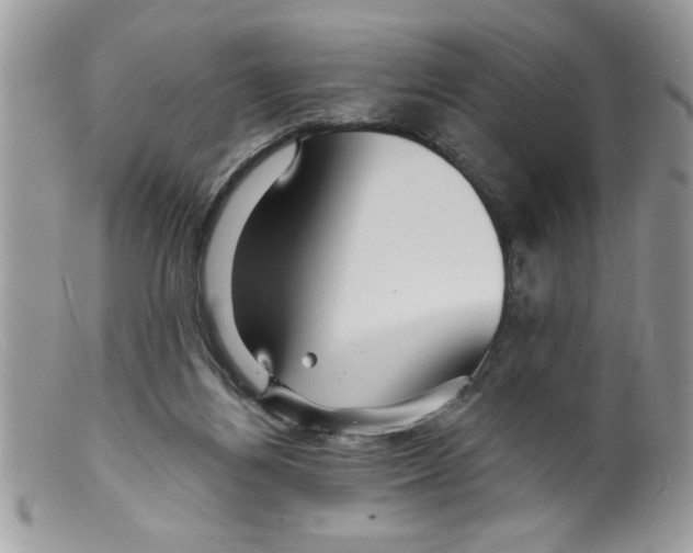 X0000098130164200805151124