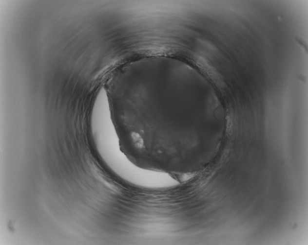 X0000098130165200805151124