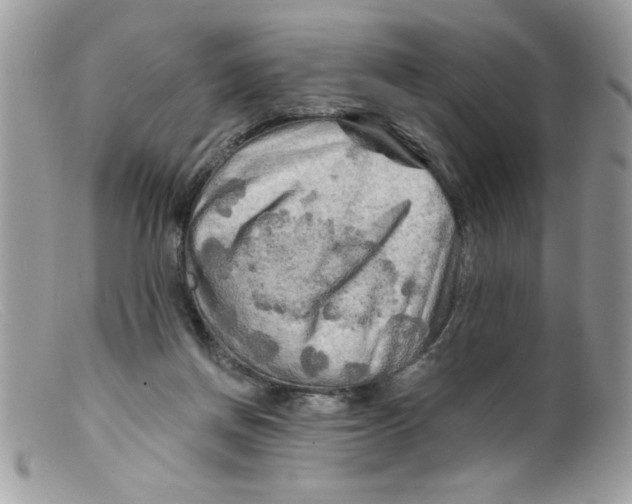 X0000098130166200805151124