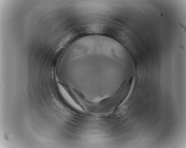 X0000098130168200805151124