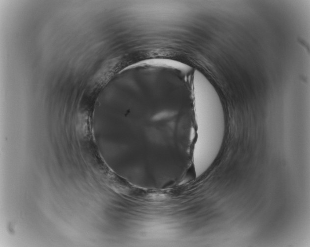 X0000098130169200805151124