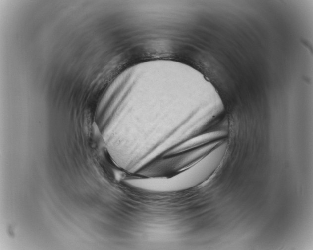 X0000098130170200805151124