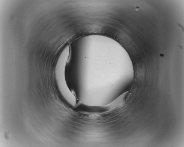 X0000098130172200805151124