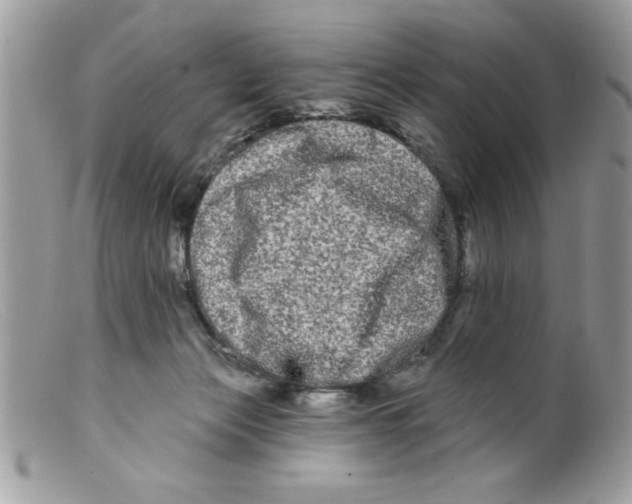 X0000098130173200805151124