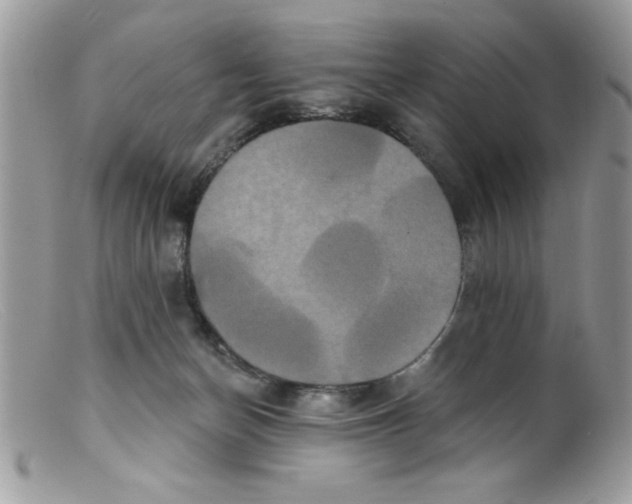 X0000098130174200805151124