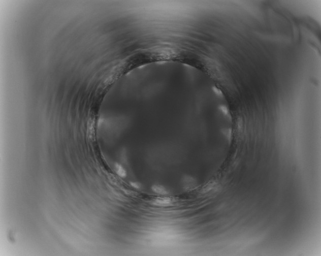 X0000098130177200805151124