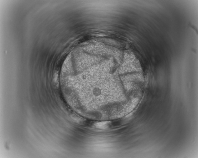 X0000098130178200805151124