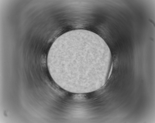 X0000098130179200805151124