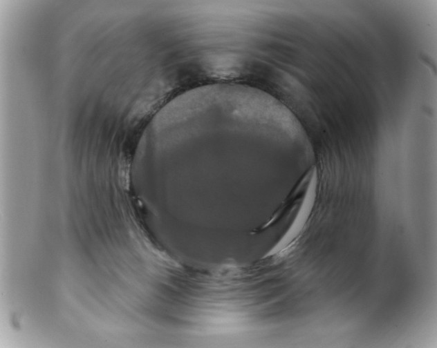 X0000098130180200805151124