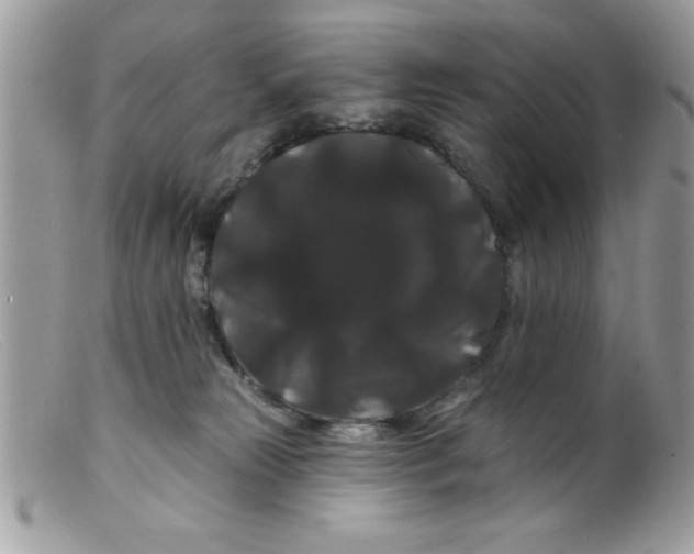 X0000098130181200805151124