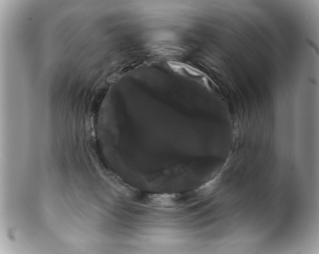 X0000098130182200805151124