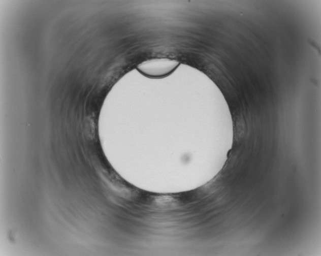 X0000098130183200805151124