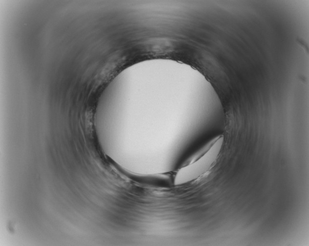 X0000098130184200805151124