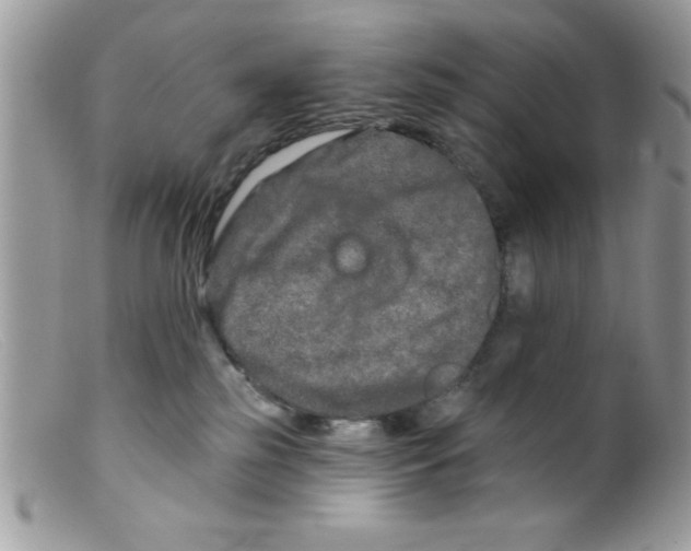 X0000098130185200805151124