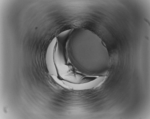 X0000098130186200805151124