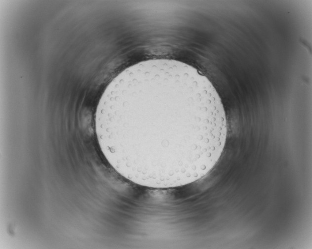 X0000098130187200805151124