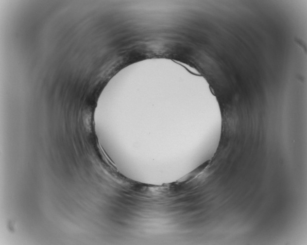 X0000098130188200805151124