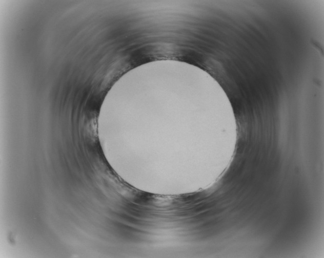 X0000098130190200805151124