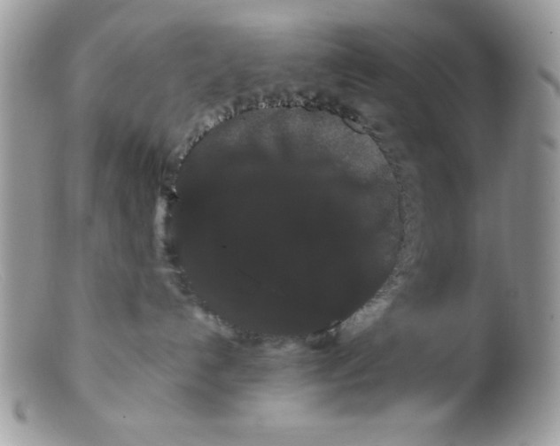 X0000098130192200805151124