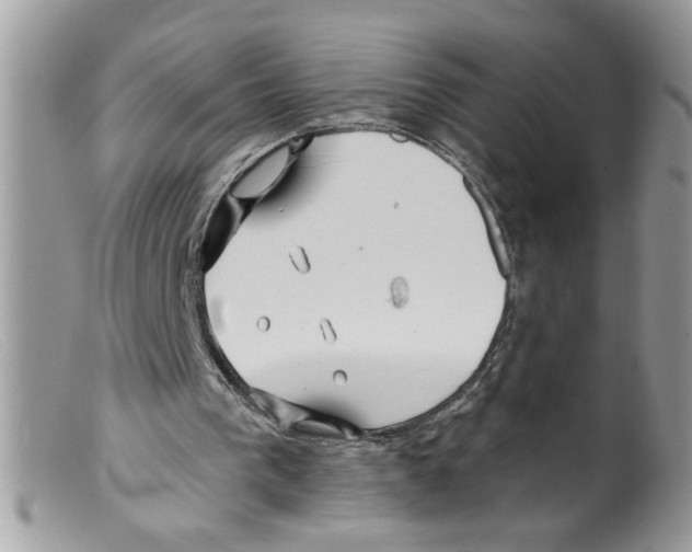 X0000098130193200805151124