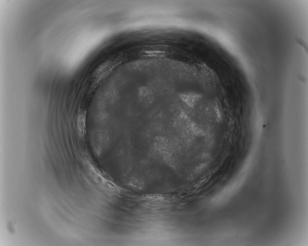 X0000098130194200805151124