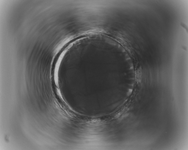 X0000098130196200805151124