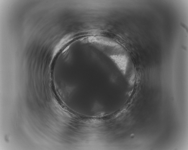 X0000098130198200805151124