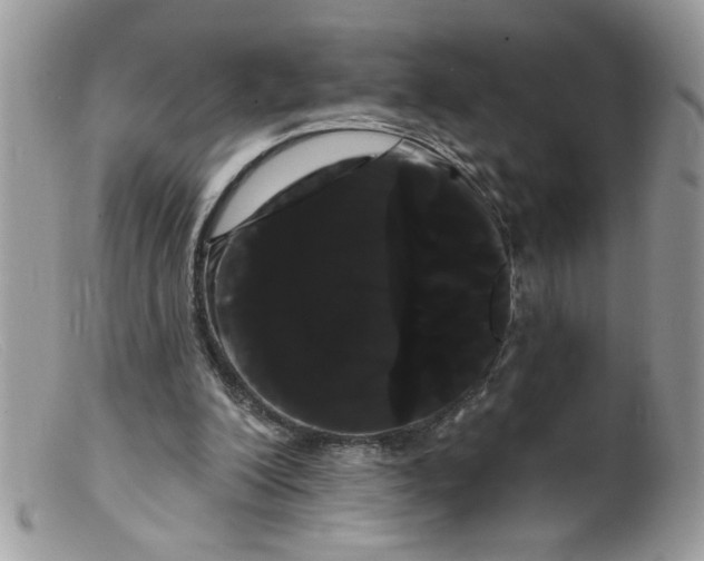 X0000098130200200805151123